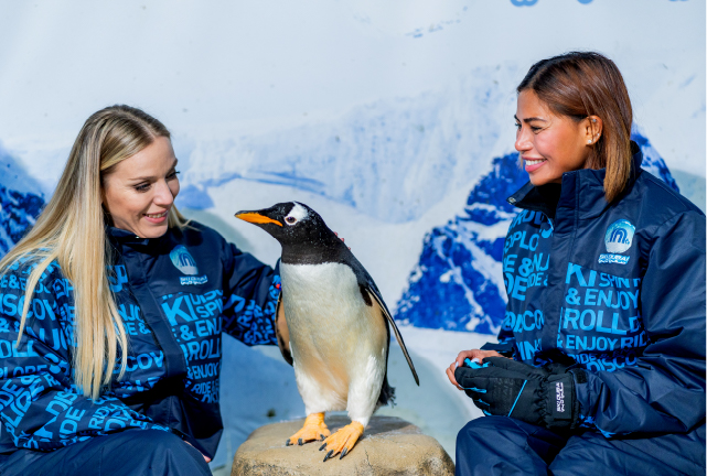 gento-penguin-at-ski-dubai