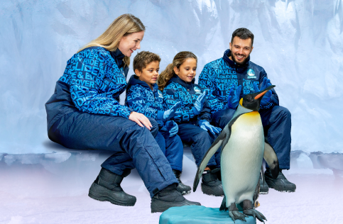 SD_Website_Inclusions_Desktop - Lunch with Pinguins - 483 x 316